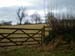 Arnside Walk 24th Jan 2010  03