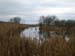 Arnside Walk 24th Jan 2010  11