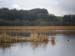 Arnside Walk 24th Jan 2010  14