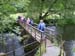 Grasmere walk 12 07 09 01
