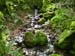 Grasmere walk 12 07 09 26