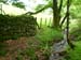 Grasmere walk 12 07 09 27