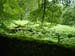 Grasmere walk 12 07 09 30