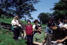 Group view